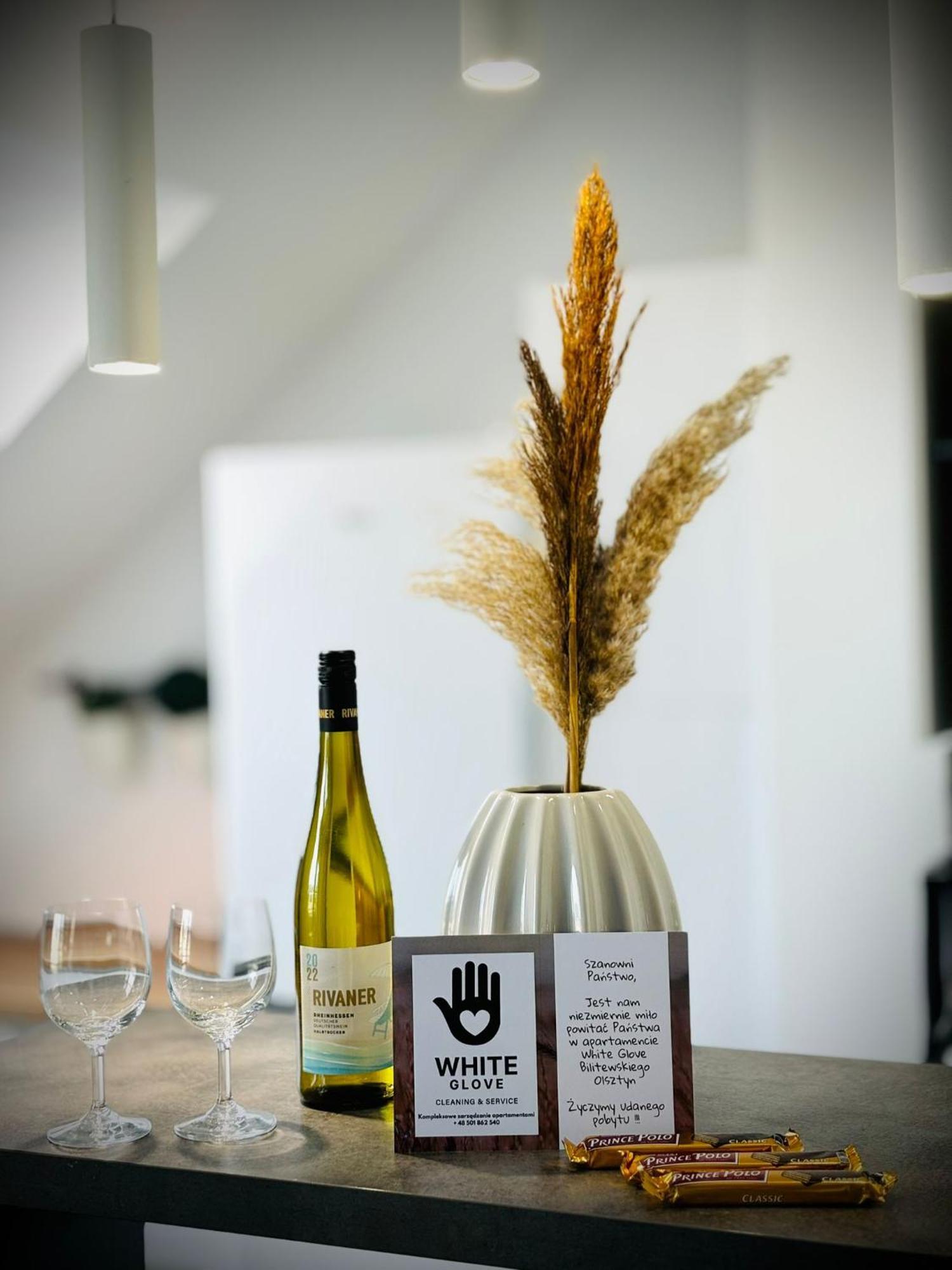 Apartment White Glove Bilitewskiego Allenstein